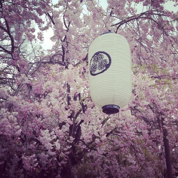 11111509_621152561348482_396551204_n